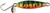 1 Needlefish Meta