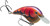 Chick Magnet Flatside Spring Craw
