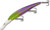 Bdtwbd2b16 Walleye Deep 4