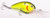 ProModel Crankbait S5XD Delta Red