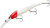 Bdtwbd2d81 Walleye Deep R