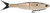 PBNESS5-BRTBN 5 in 2/5 oz Burnt Bone Power