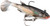Wildeye Live Minnow 02 M
