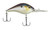 BHBDR17.5-CMPRL 17.5 2.75 in Chameleon Pea
