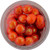 FEFOSC PowerBait® Fluorescent Orange with