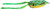 Frog 65 Green Tree
