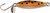 2 Needlefish Brow