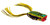SPRO Bronzeye Pop 60 - Leopard