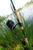 Daiwa Prorex X LT - PRXLT2500