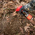 Synthetic Estrus™ Spray