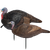 Lil Gobbstopper™ Hen & Jake Turkey Decoys