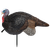 Lil Gobbstopper™ Hen & Jake Turkey Decoys (69074)
