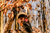 Chainsaw Brian's™ Premium Doe Estrus