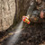 Acorn Supreme Attractant Spray