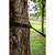 Stansport Hammock Tree Straps with Carabiners - Two