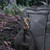 Nite Ize S-Biner® SlideLock® Aluminum - Coyote