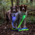 NiteDog® Rechargeable LED Leash - Blue/Blue LED