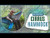 ALPS Mountaineering Cirrus Hammock