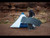 ALPS Mountaineering 77" x 30" x 2" Flexcore XL Sleeping Pad blue