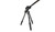 Vortex Radian Carbon Fiber Tripod + Leveling Head