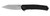 Kershaw Raygun