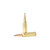 Remington Core-Lokt Tipped, 300 WSM, 150 Grain, Core-Lokt Tipped, 3340 fps - 20 Rounds