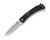 Buck 110 Slim Select Knife - Black