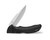 Buck 286 Bantam BHW Knife with Pocket Clip - Black