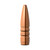 Barnes 0.243" 6MM TSX 85 GR BT