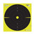 Allen Reactive Bullseye Paper Shooting Targets, 8"W x 8"H, 25-Pack, Black/Chartreuse