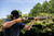 Smith & Wesson Model 1854 Lever-Action Rifle 45 Colt - Item #13814