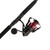 PENN Fierce IV Spinning Combo - 5000, Medium Heavy, 7'