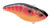 SPRO Aruku Shad 60 - Aruku Shad 60 Mudbug Red