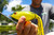 SPRO Bronzeye Frog 90 - Rainforest Black