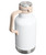 Stanley Easy-Pour Growler - 64 OZ - Hammertone Frost