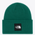 NF0A85CWNL1 Big Box Beanie Evergreen F-26-197064986217