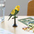 Kikkerland Parakeet 3d Puzzle
