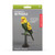 Kikkerland Parakeet 3d Puzzle