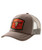 Carhartt Men's Oakland Steer Cap - Stone Brown