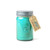 Paddywax Ocean Tide & Sea Salt - Relish 9.5 oz Candle