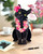 Fresh Cut Paper Black Cat