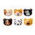 Kikkerland Doggie Bag Clips