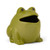 Kikkerland Froggy Fly Trap