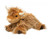 WALLACE DLUX HIGHLAND COW -26-767548149867