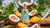 Dr. Squatch Coconut Castaway Lotion