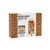Hands Craft DIY Miniature House Kit: Floral Corner