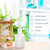 Inis Fragrance Diffuser