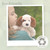 Beverly Hills Teddy Bear Company Duds Doggie Lushee 10 in