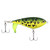 Berkley BHBCP120-MFF 120 4.7 in MF Frog Choppo