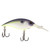 Berkley BHBMB5-PPG 5 2.1 in Purple Glimmer Money B